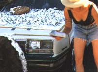 Getting ready for the big show